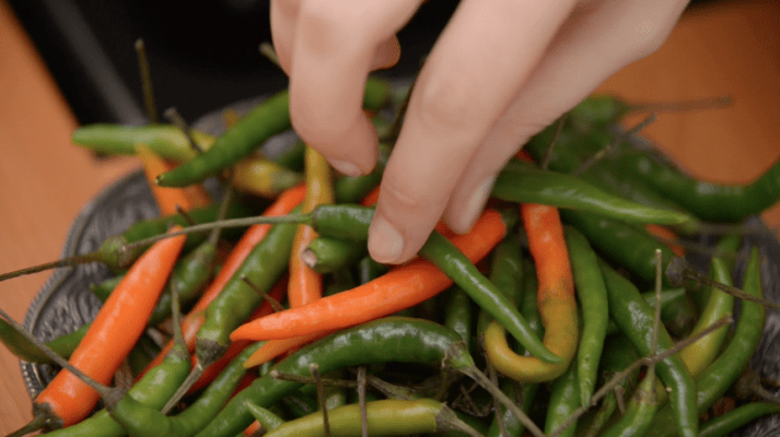 Pure Punjabi Indian cookery school -The Indian Experience workshop UK