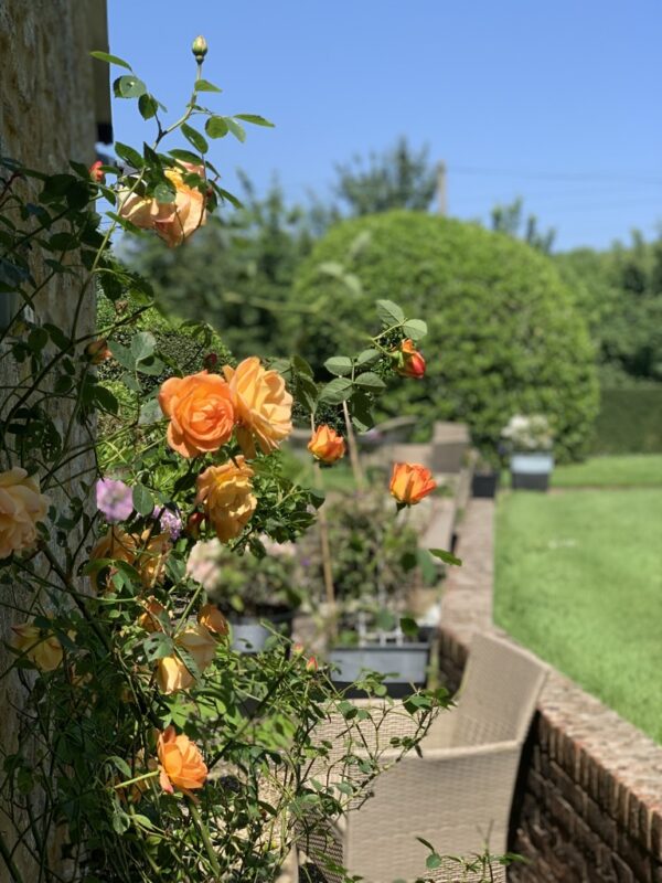 Pure Punjabi Indian afternoon tea event at 14 Farm Street, South Somerset