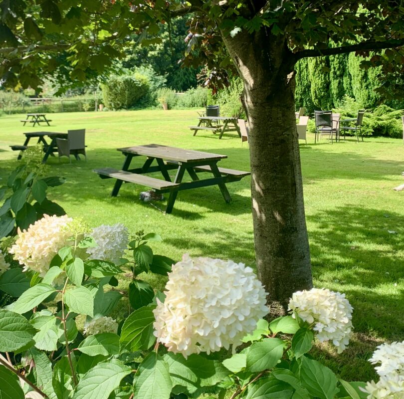 Pure Punjabi Indian afternoon tea event at 14 Farm Street, South Somerset